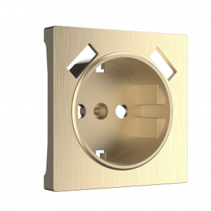 Накладка для USB розетки Werkel (шампань рифленый)