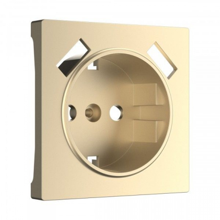 Накладка для USB розетки Werkel (шампань)