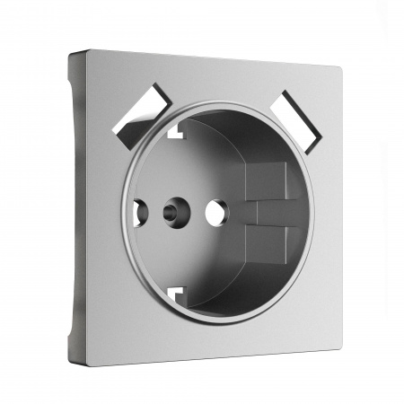 Накладка для USB розетки Werkel (серебряный матовый)